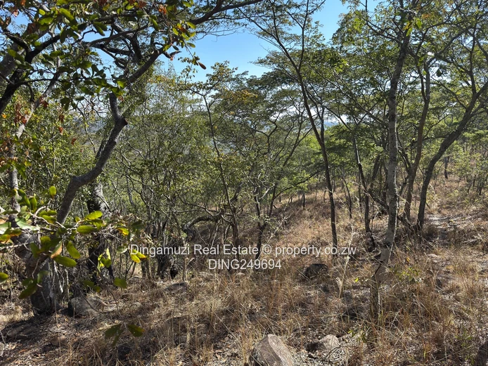 Goromonzi Agricultural 4-Hectare Land