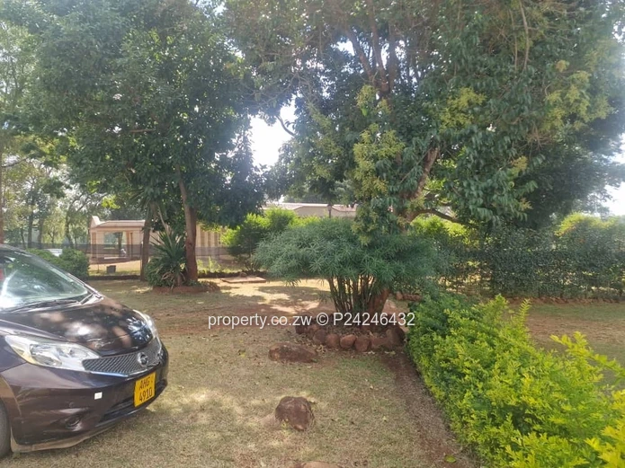 Greystone Park 265K