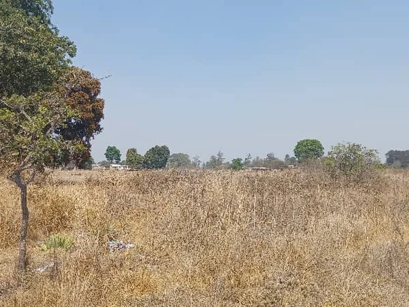 Farm & Agricultural Land