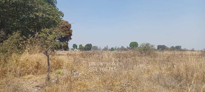 5.2 hectares Farmland. (Sole Mandate)