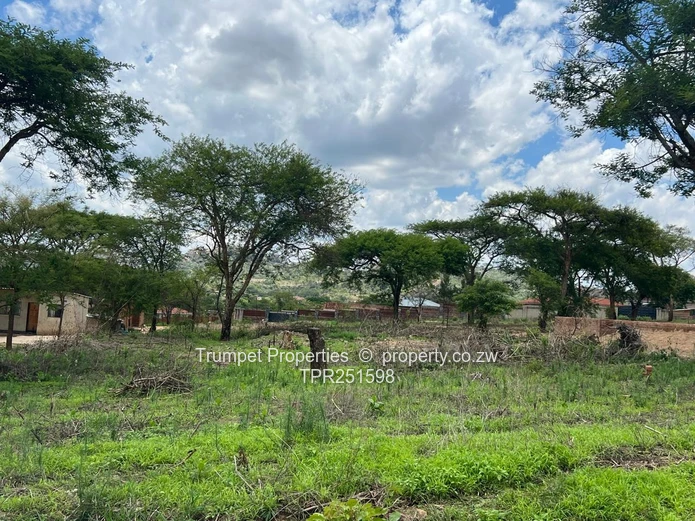 1000m² Stand in Charlotte Brooke — Title deeds available