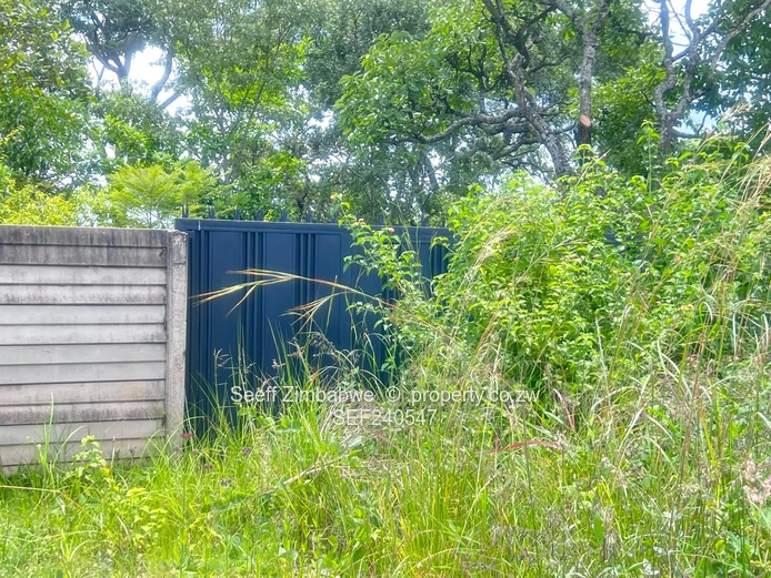 New Listing. Expansive Residential Land In Glen Lorne (Sole Mandate)