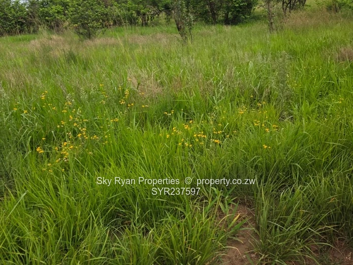 Mabelreign choice of 3 stands for sale 