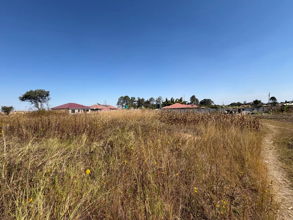 Stands & Residential Land