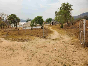 Farm & Agricultural Land