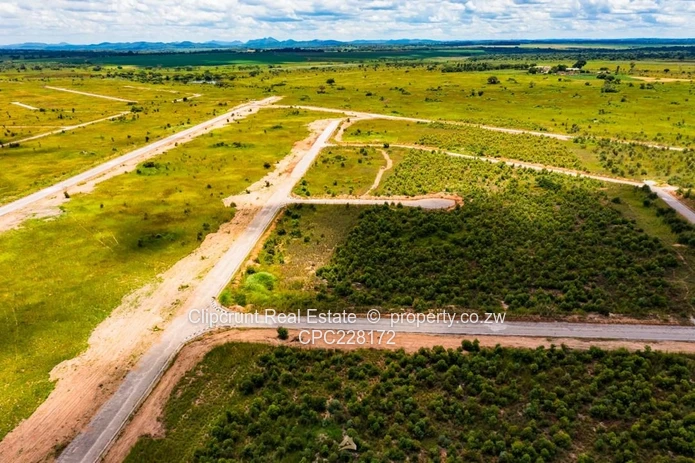 Nyabira Luna Estate Stand