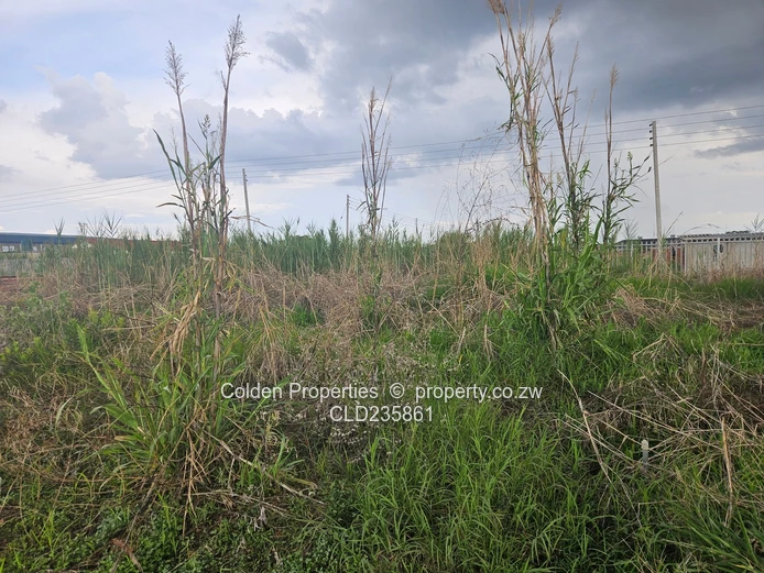 Safety First! Secure Gated Community! (Sole Mandate)