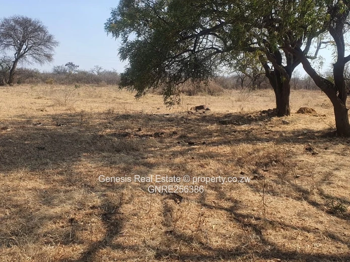 Prime Land For Sale Along Airport Road In Bulawayo!