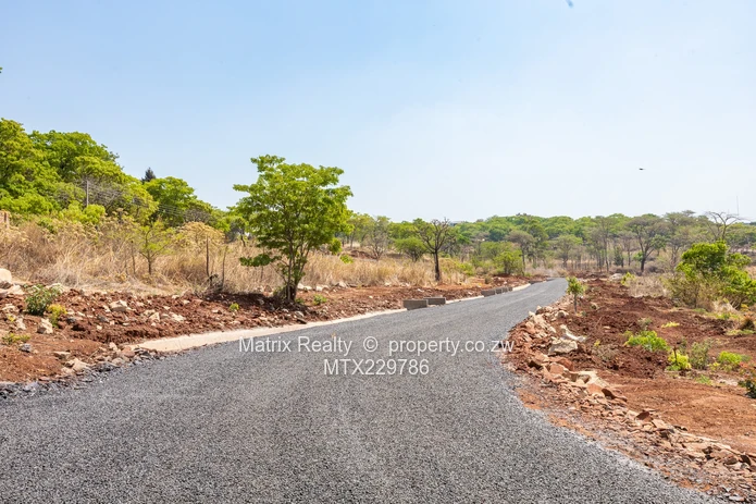 Cluster Stands in Hogerty Hill for Sale