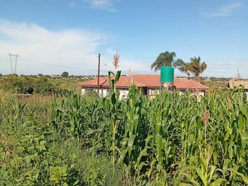 Stands & Residential Land