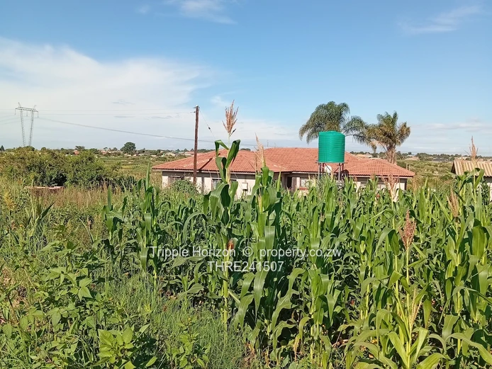 590m² Sewered Stand with Main Road Frontage, Damofalls