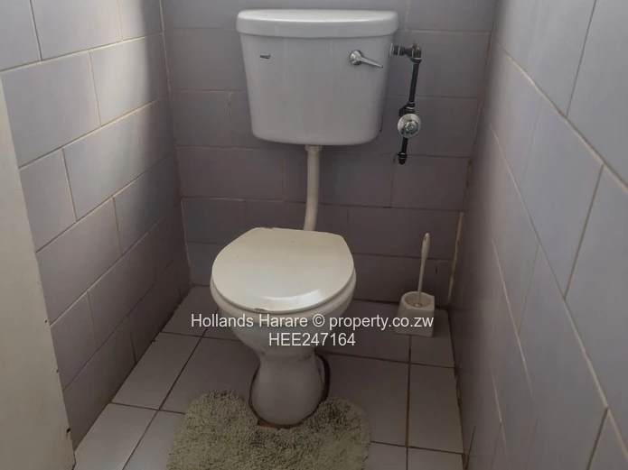 Norton Tankatara property 