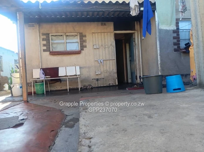 Highfields Western Cannan 