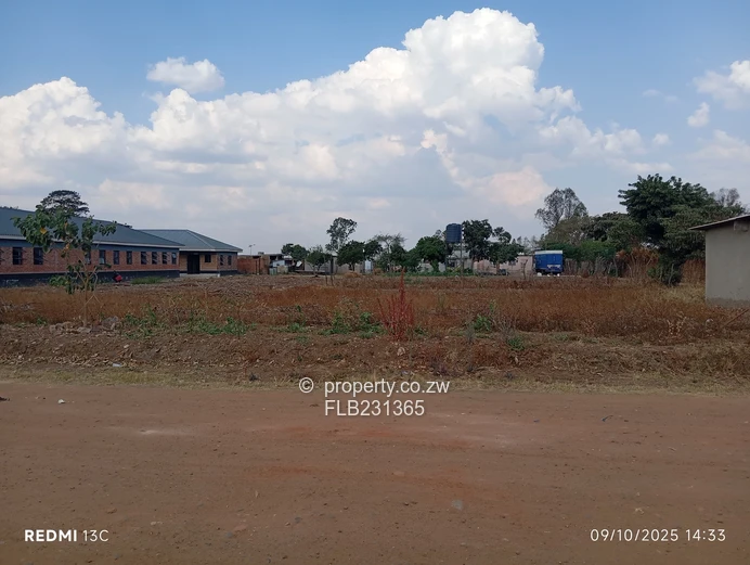 1200m² stand in Snake Park, White house