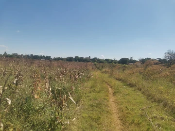 Commercial & Industrial Land