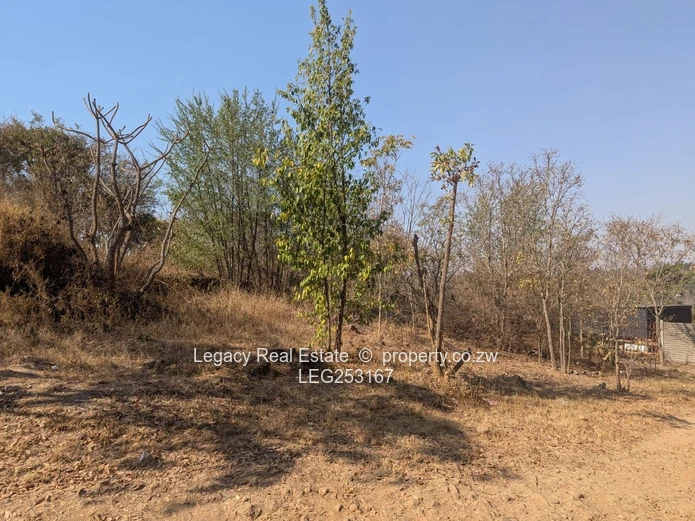 4472 m² Greystone Park — Sloping Stand with Cottage, Trees and Gate
