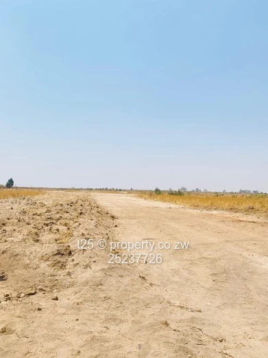 Golden Estate Amalinda Stands for Sale