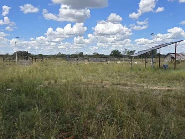 Farm & Agricultural Land