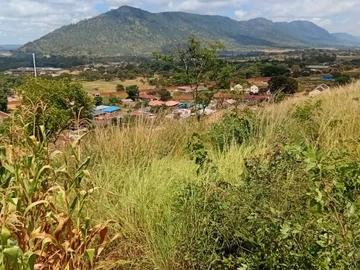 Commercial & Industrial Land