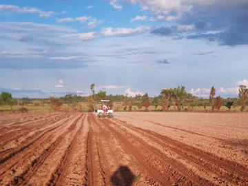 Farm & Agricultural Land