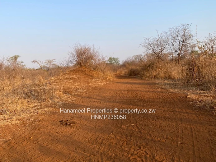 Selous Plot For Sale