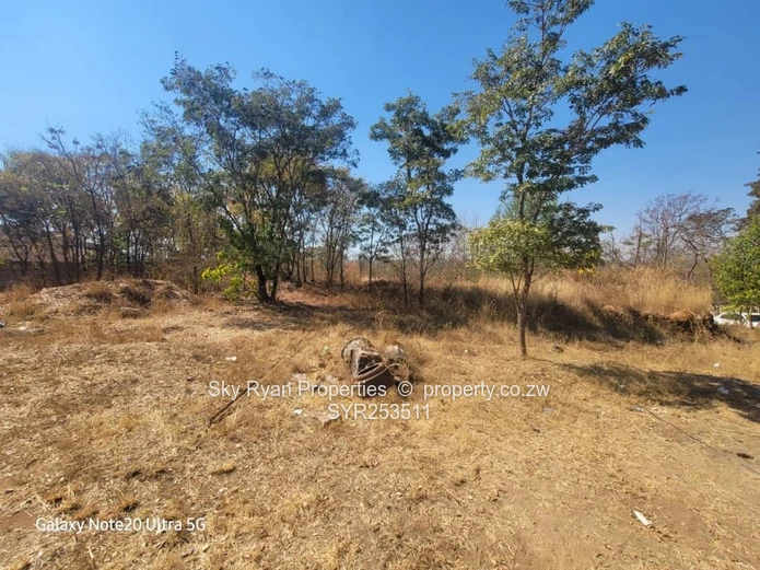 Glen Lorne - Kambanji For Sale 