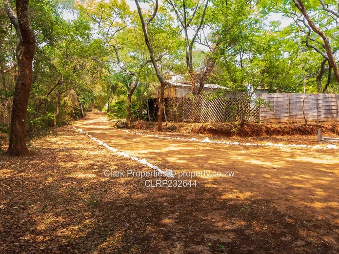 Prime 1 Acre Panhandle Stand in a Beautiful Setting! (Sole Mandate)