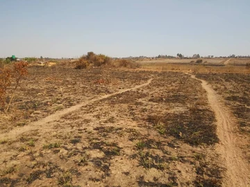 Farm & Agricultural Land