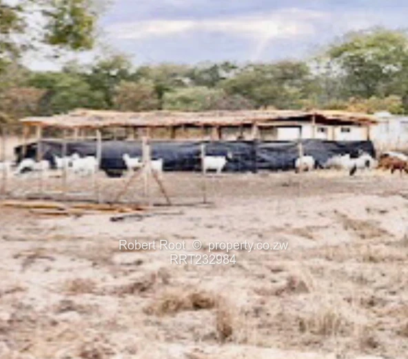 Unlock your faming potential in Beatrice