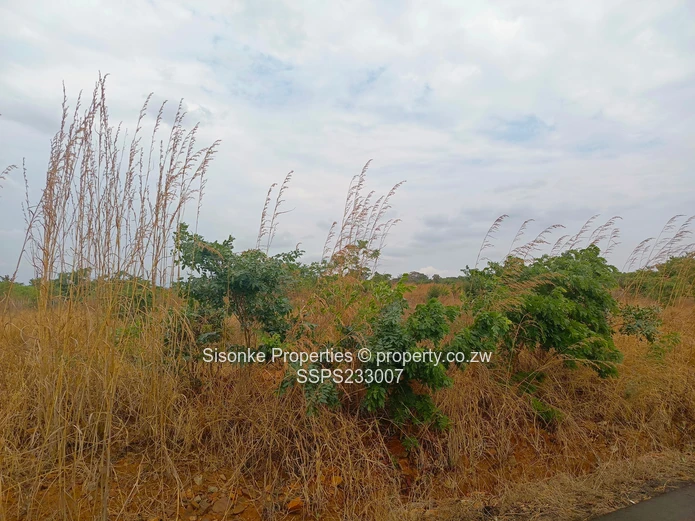 980m² Stand for sale in Pomona