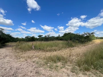 Farm & Agricultural Land