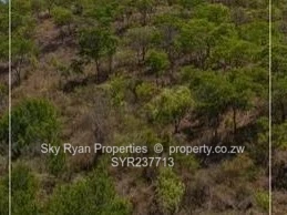 Borrowdale Land For Sale