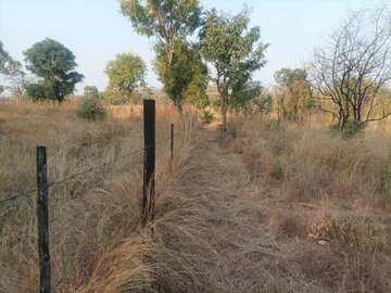 Farm & Agricultural Land