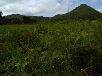 Farm & Agricultural Land