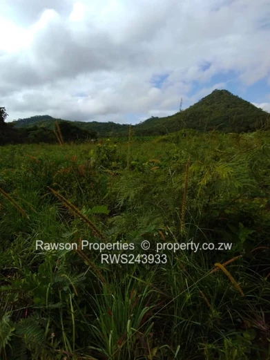 6 Hactare Plot in Bindura!!