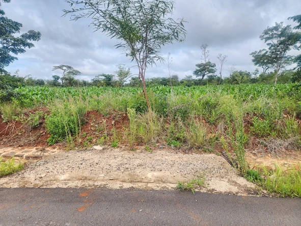 Stands & Residential Land