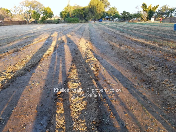 Plot for Sale in Marondera Morningside