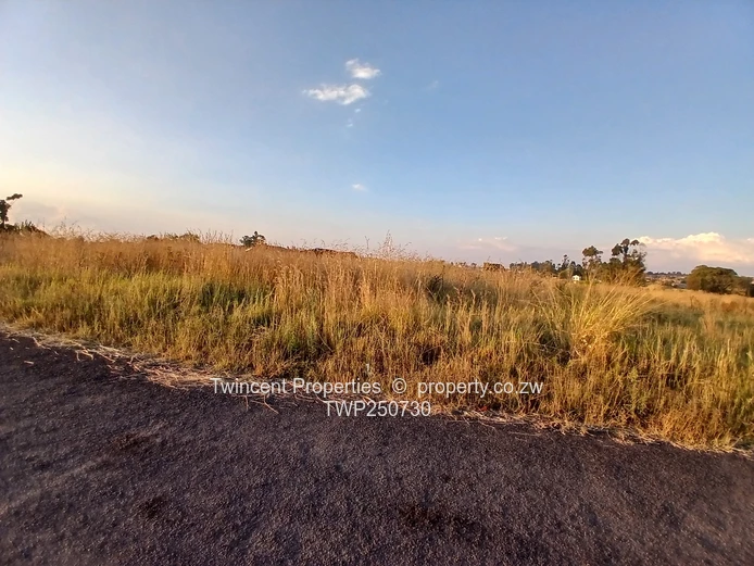 Athelney Park Estate, Ruwa (Sole Mandate)