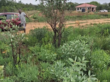 Stands & Residential Land