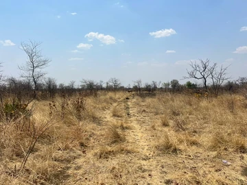 Farm & Agricultural Land