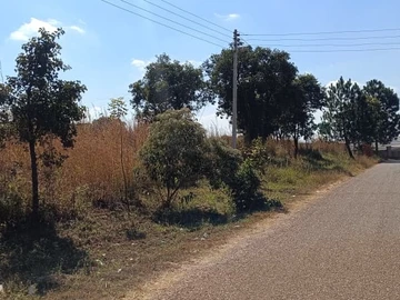 Stands & Residential Land