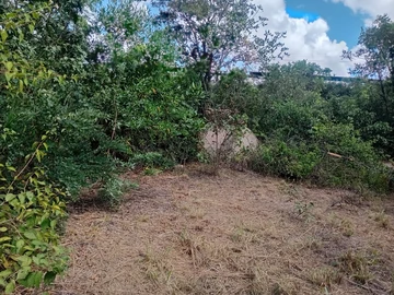 Commercial & Industrial Land