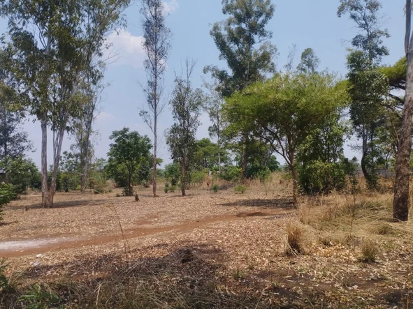 Commercial & Industrial Land