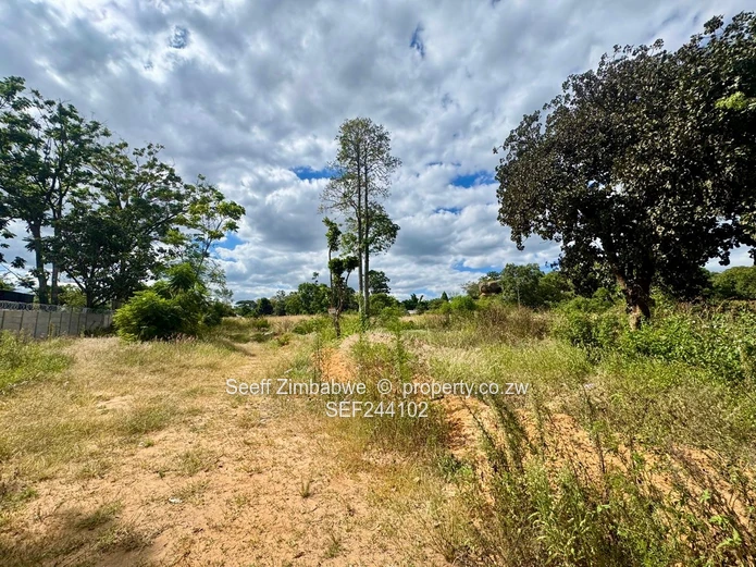 Hatfield 3,141m² Subdivision with Title Deeds land 