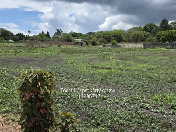 Borrowdale Brooke , A piece of real estate