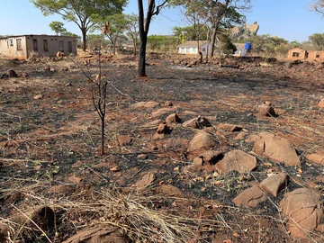 Stands & Residential Land