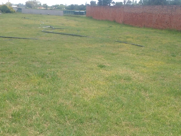 Commercial & Industrial Land