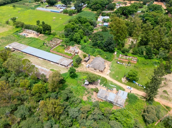 Farm & Agricultural Land