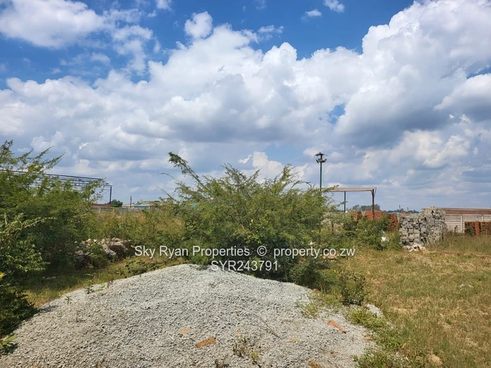 Whitehouse Commercial Stand For Sale