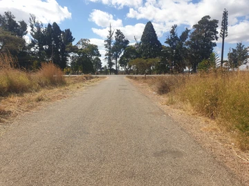 Stands & Residential Land